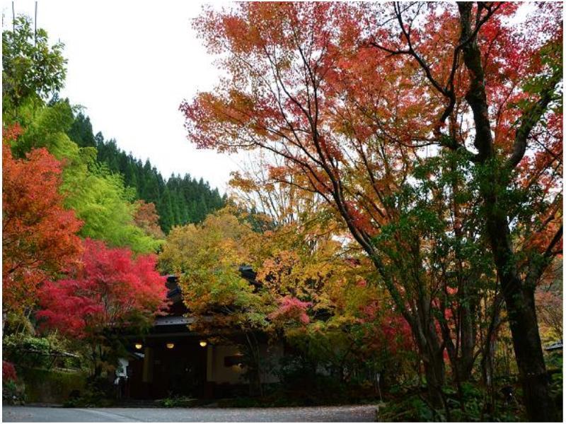 Ryokan Okunoyu Minamioguni Kültér fotó